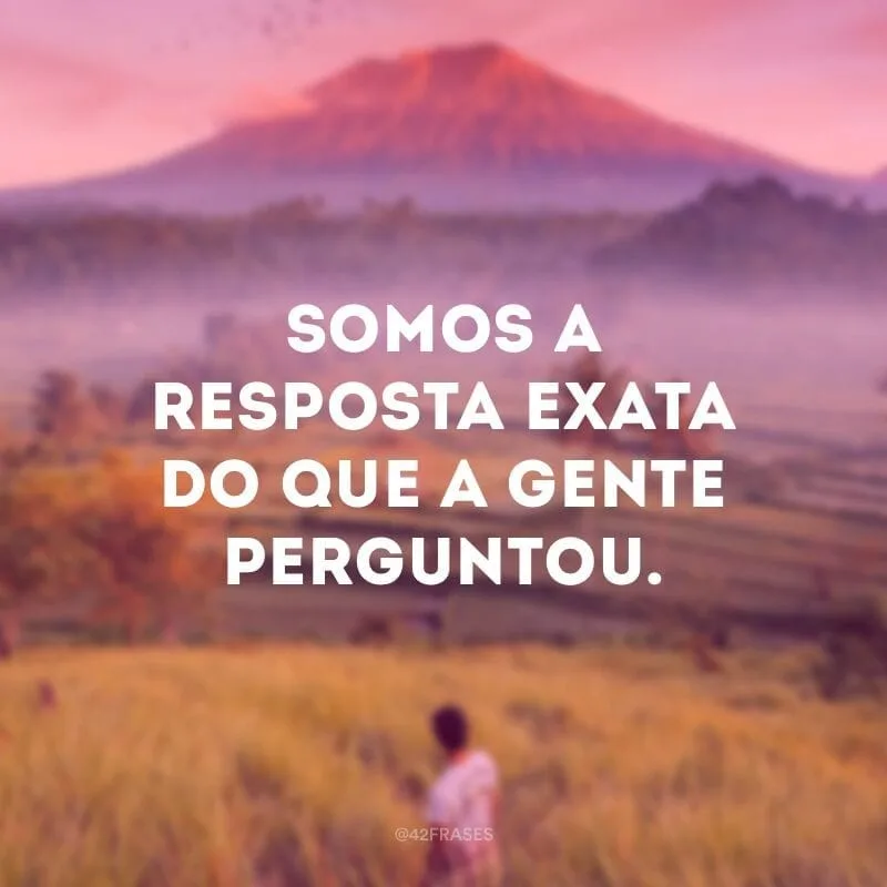 Somos a resposta exata do que a gente perguntou.