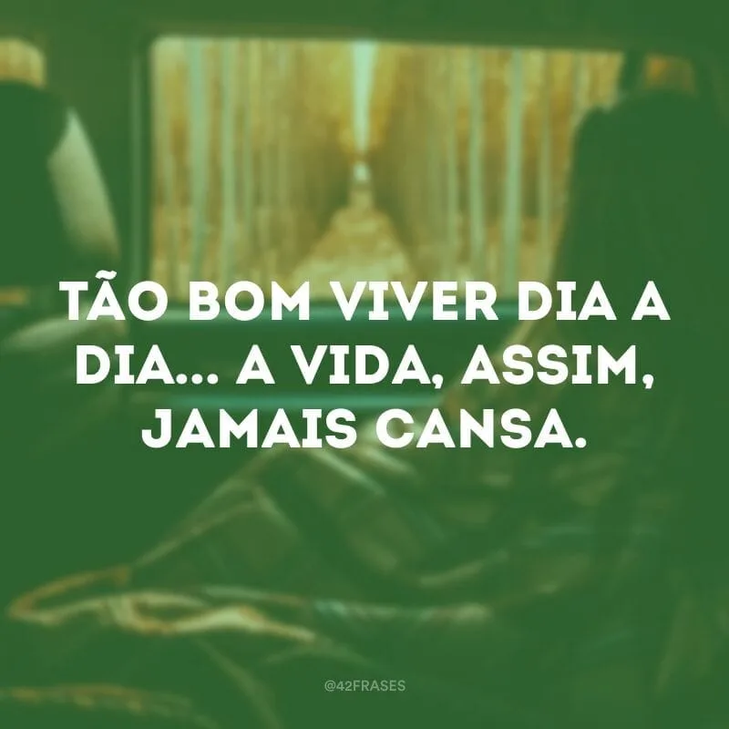 Tão bom viver dia a dia... A vida, assim, jamais cansa. 