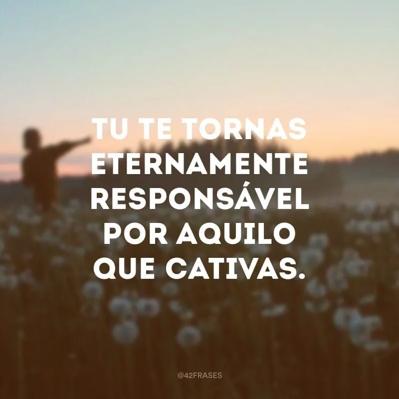 Tu te tornas eternamente responsável por aquilo que cativas.