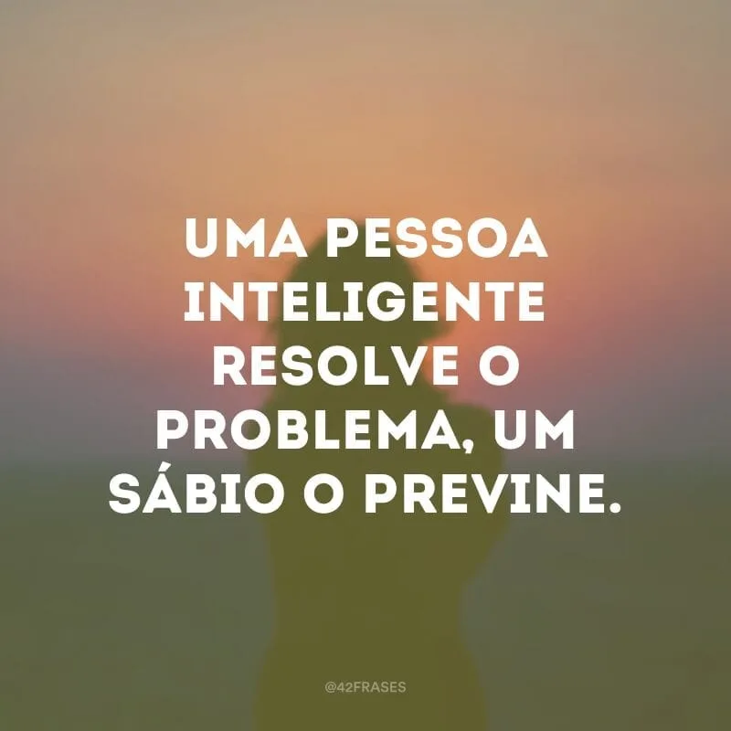Uma pessoa inteligente resolve o problema, um sábio o previne.