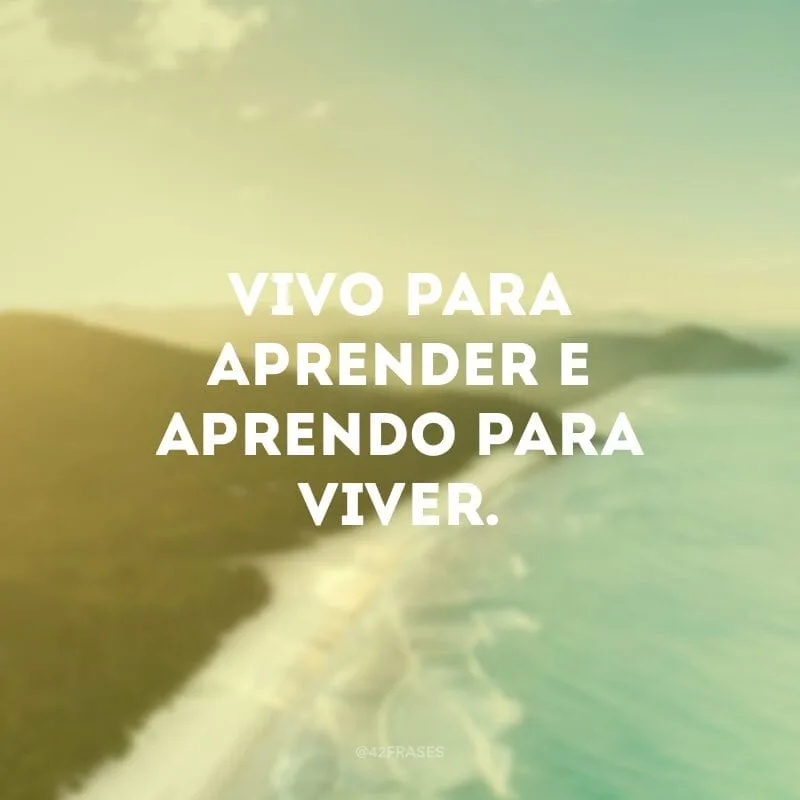 Vivo para aprender e aprendo para viver.