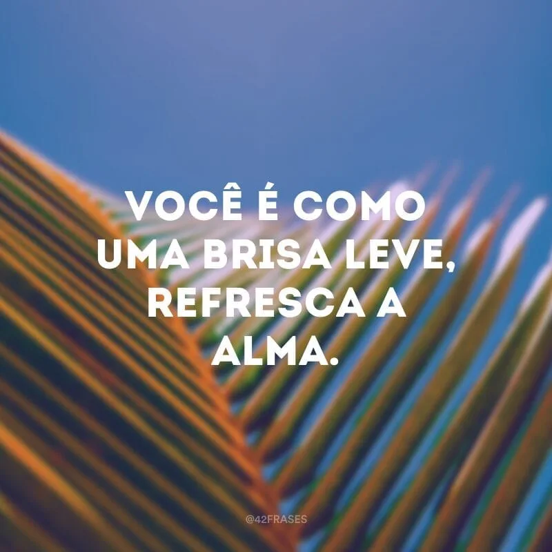 Você é como uma brisa leve, refresca a alma.