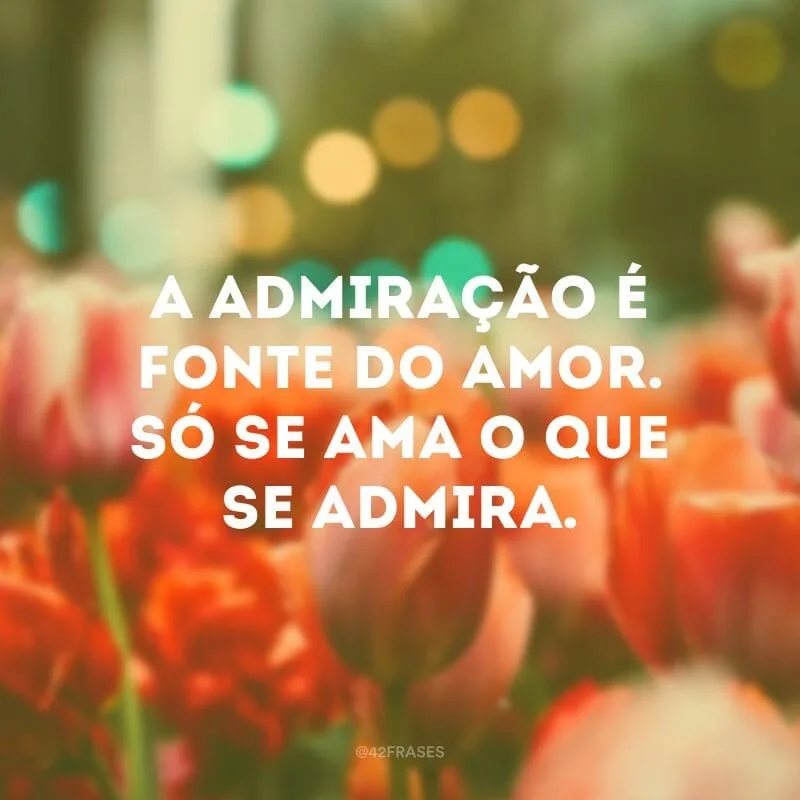 A admiração é fonte do amor. Só se ama o que se admira.