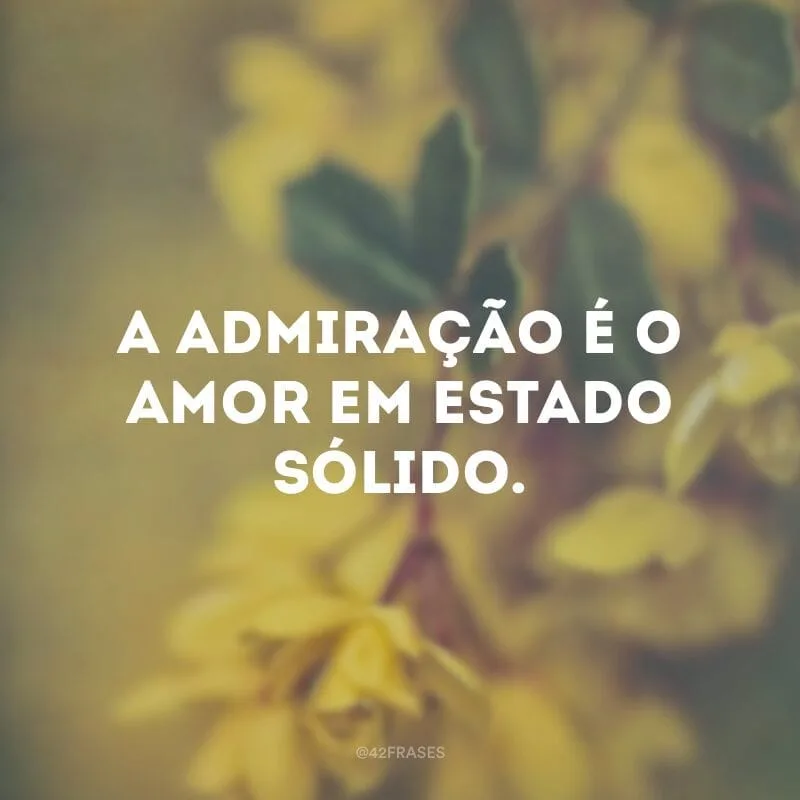 A admiração é o amor em estado sólido.