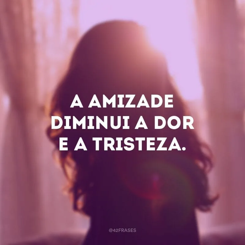 A amizade diminui a dor e a tristeza. 