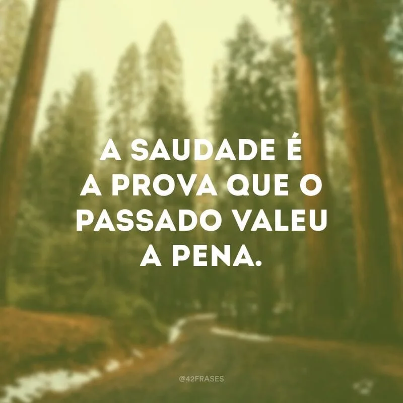 A saudade é a prova que o passado valeu a pena. 
