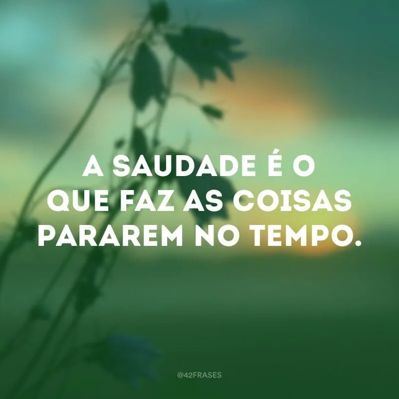 A saudade é o que faz as coisas pararem no tempo.