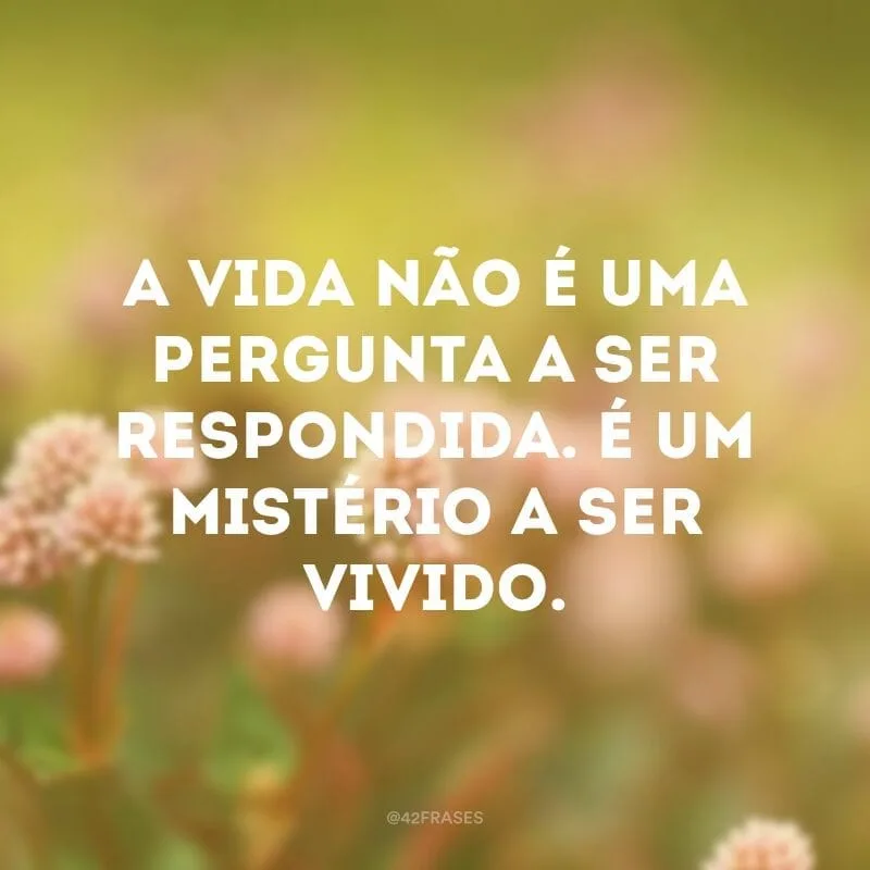 A vida não é uma pergunta a ser respondida. É um mistério a ser vivido.