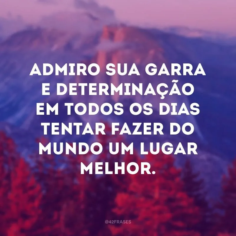 Admiro sua garra e determinação em todos os dias tentar fazer do mundo um lugar melhor.