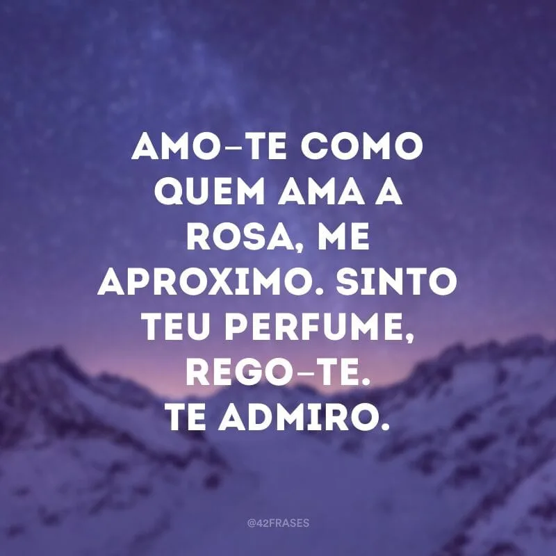 Amo-te como quem ama a rosa, me aproximo. Sinto teu perfume, rego-te. Te admiro.