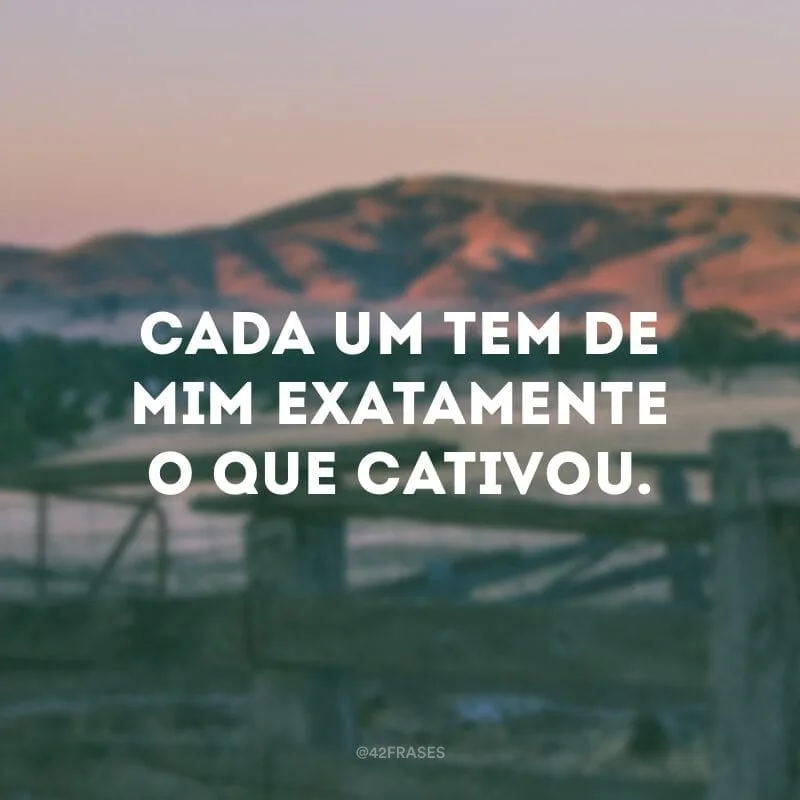 Cada um tem de mim exatamente o que cativou.