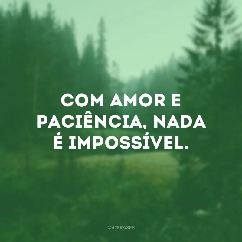 Com amor e paciência, nada é impossível.