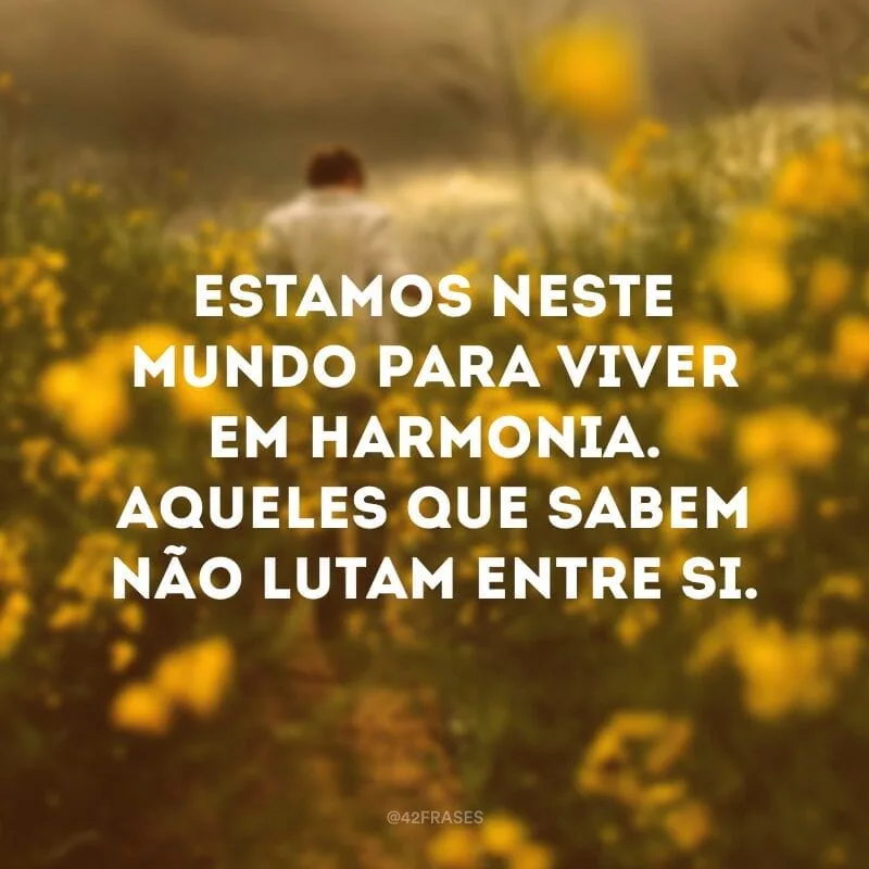 Estamos neste mundo para viver em harmonia. Aqueles que sabem não lutam entre si.