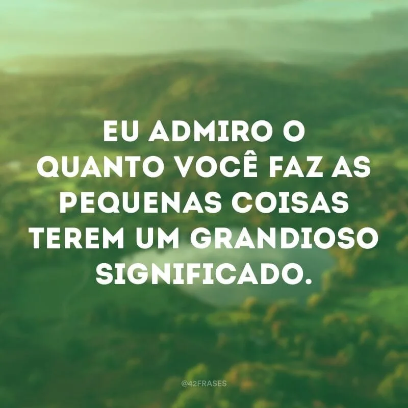 Eu admiro o quanto você faz as pequenas coisas terem um grandioso significado.