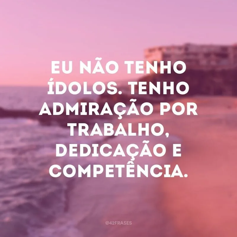 Eu não tenho ídolos. Tenho admiração por trabalho, dedicação e competência.