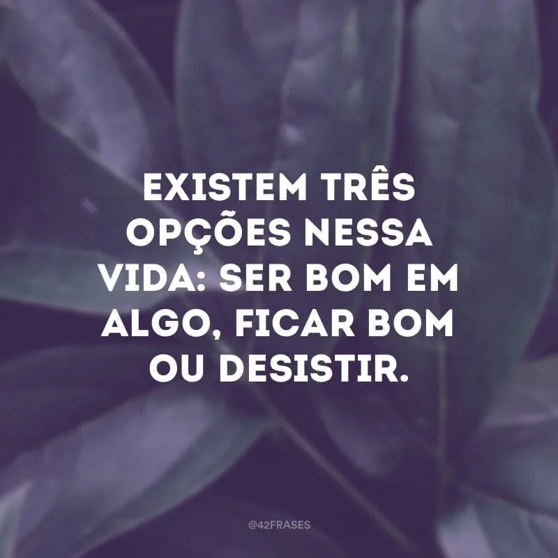Existem três opções nessa vida: ser bom em algo, ficar bom ou desistir.