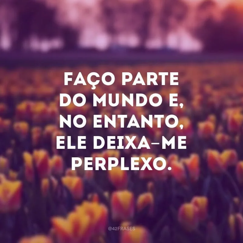 Faço parte do mundo e, no entanto, ele deixa-me perplexo.