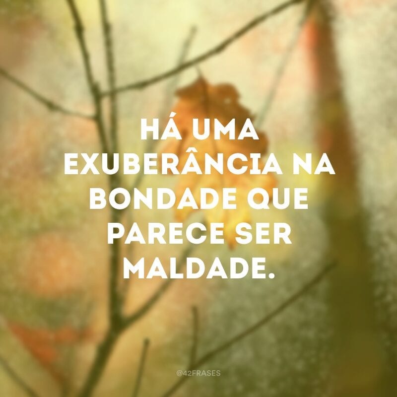 Há uma exuberância na bondade que parece ser maldade.