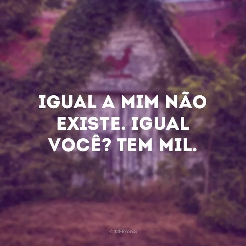 Igual a mim não existe. Igual você? Tem mil.