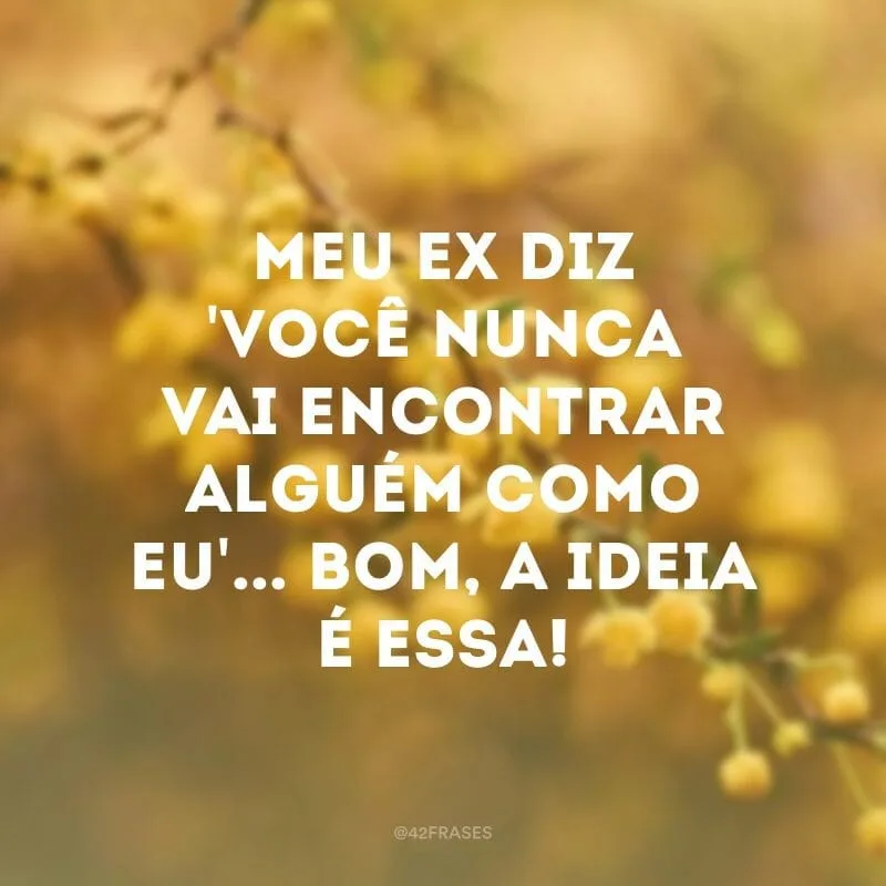 Meu ex diz \'você nunca vai encontrar alguém como eu\'... Bom, a ideia é essa!