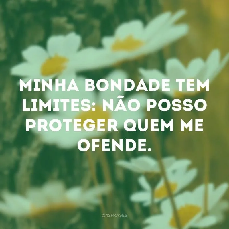 Minha bondade tem limites: não posso proteger quem me ofende. 