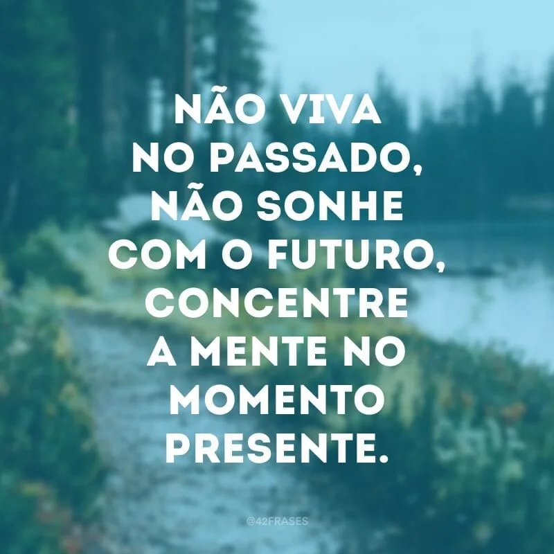 Não viva no passado, não sonhe com o futuro, concentre a mente no momento presente.