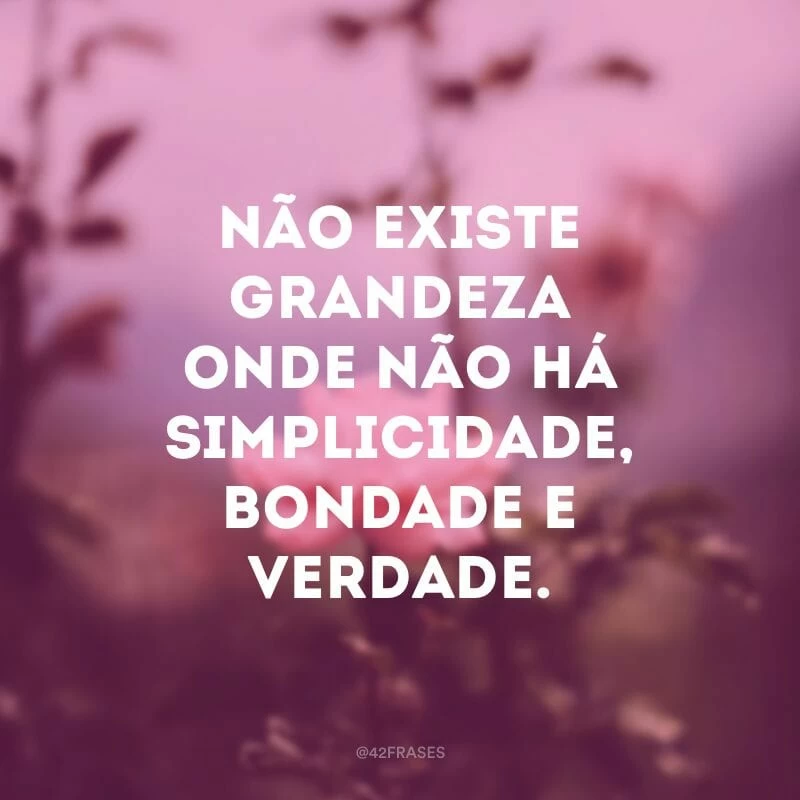 Não existe grandeza onde não há simplicidade, bondade e verdade. 
