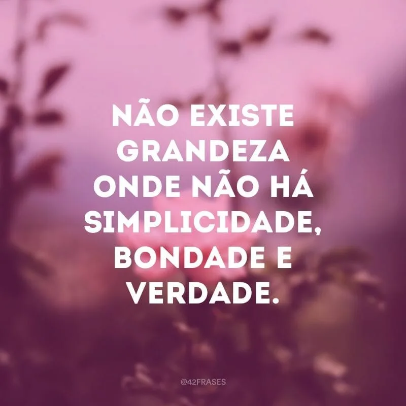 Não existe grandeza onde não há simplicidade, bondade e verdade. 