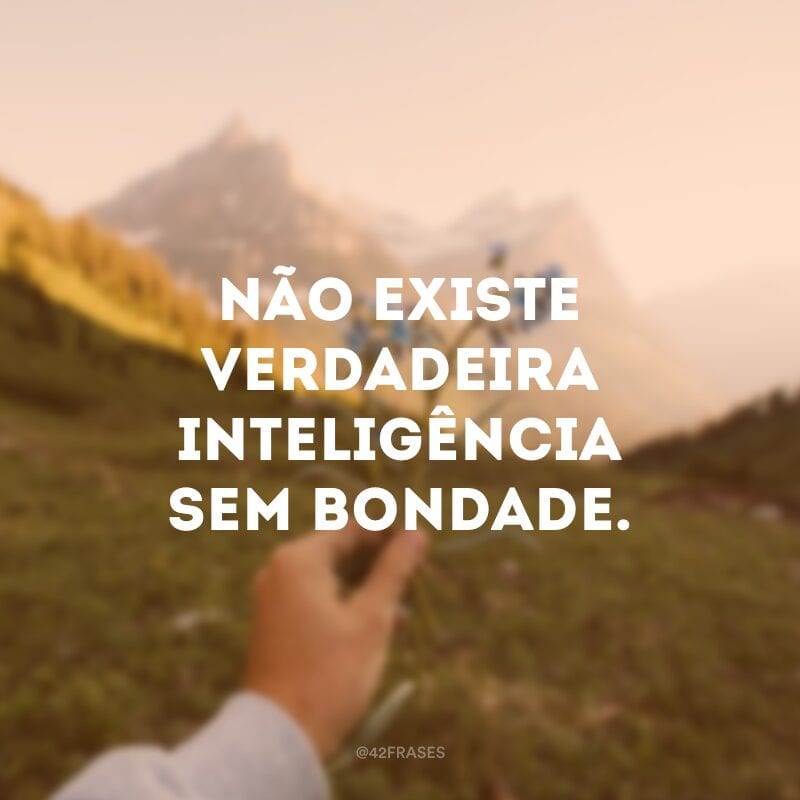Não existe verdadeira inteligência sem bondade.