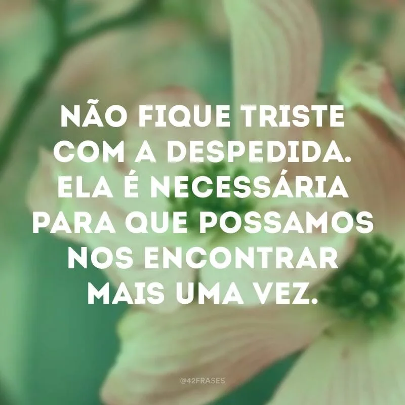 Não fique triste com a despedida. Ela é necessária para que possamos nos encontrar mais uma vez.