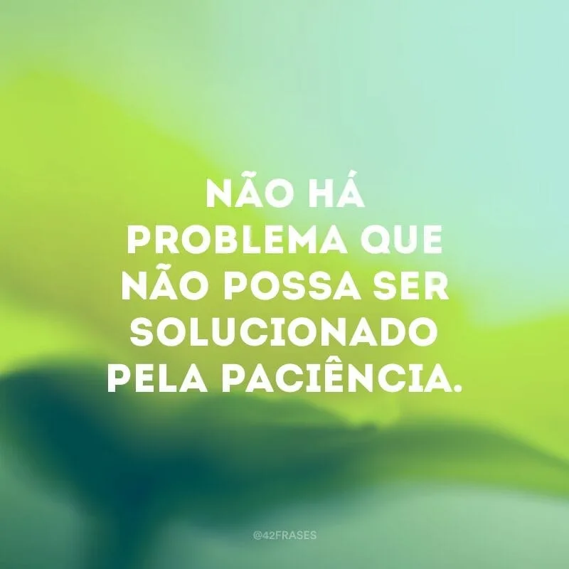Não há problema que não possa ser solucionado pela paciência.
