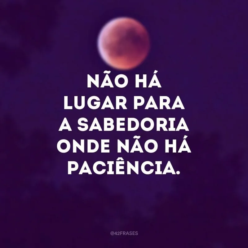 Não há lugar para a sabedoria onde não há paciência.