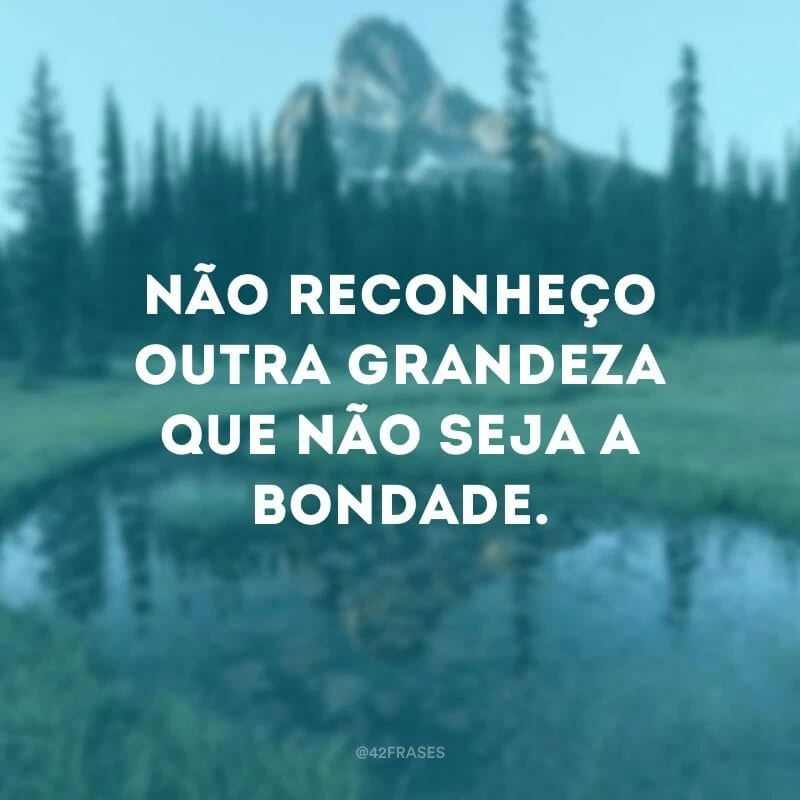 Não reconheço outra grandeza que não seja a bondade. 