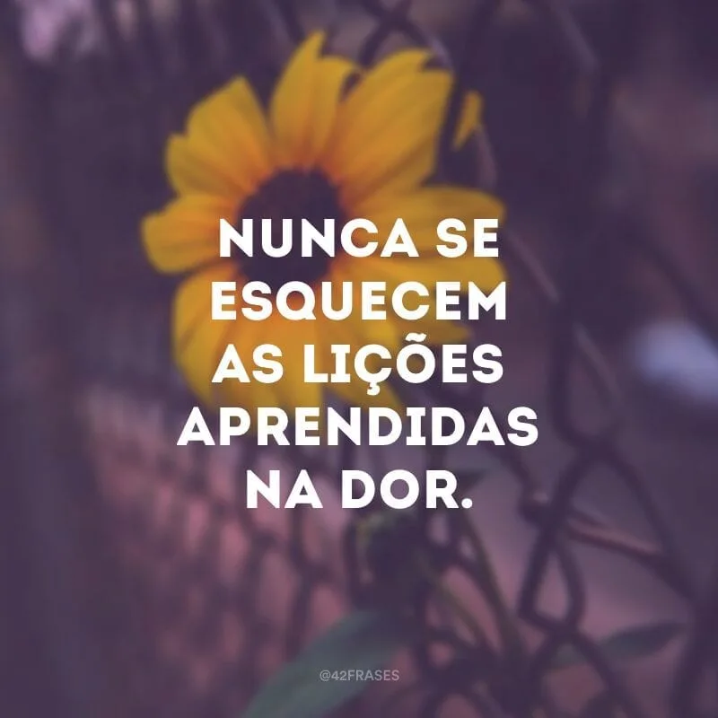 Nunca se esquecem as lições aprendidas na dor. 