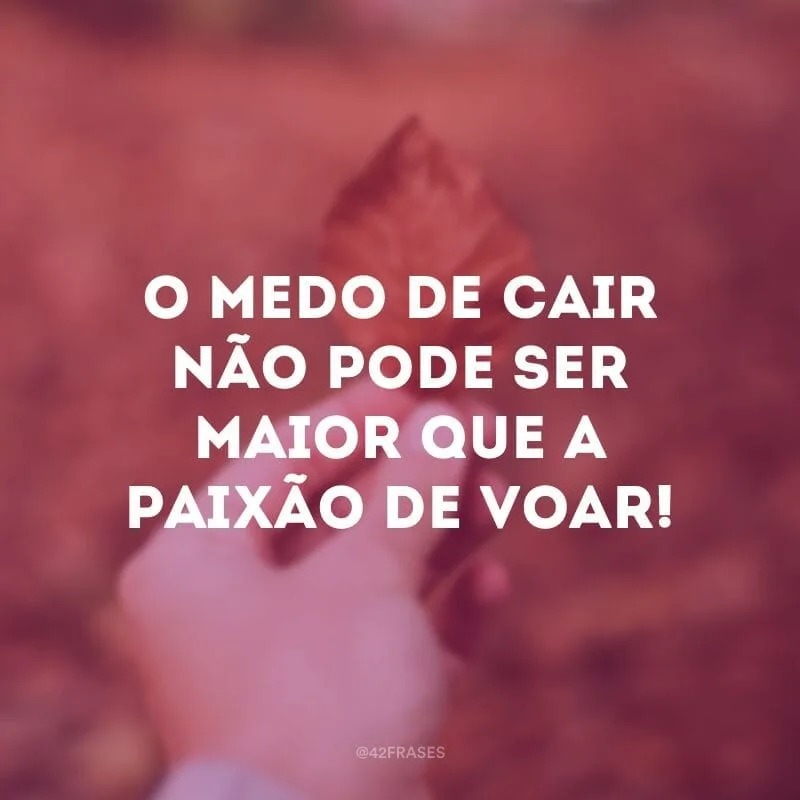 O medo de cair não pode ser maior que a paixão de voar!