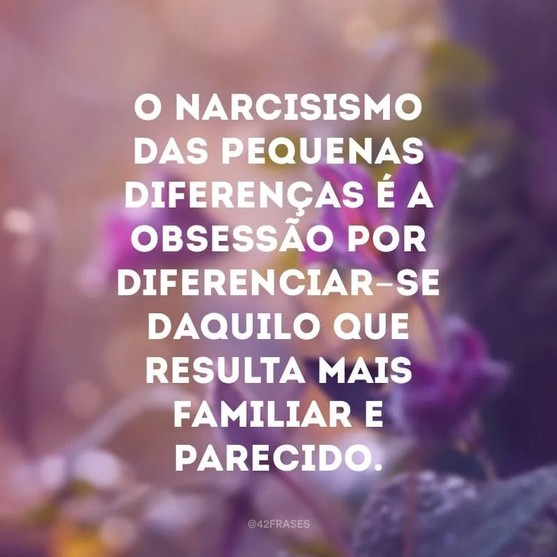 O narcisismo das pequenas diferenças é a obsessão por diferenciar-se daquilo que resulta mais familiar e parecido.