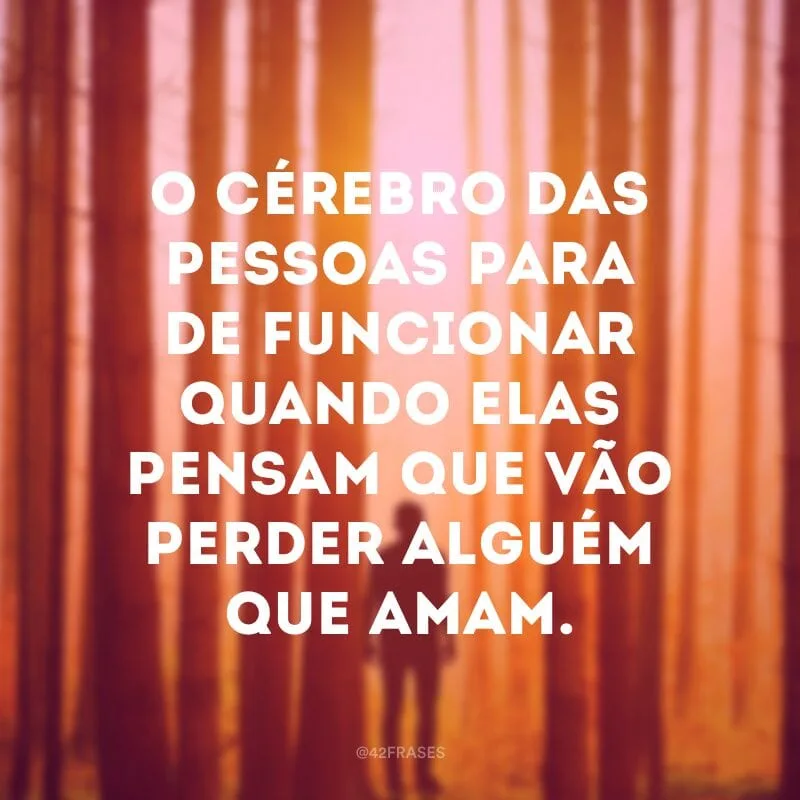 O cérebro das pessoas para de funcionar quando elas pensam que vão perder alguém que amam.