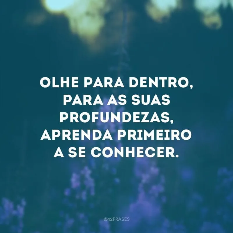 Olhe para dentro, para as suas profundezas, aprenda primeiro a se conhecer.