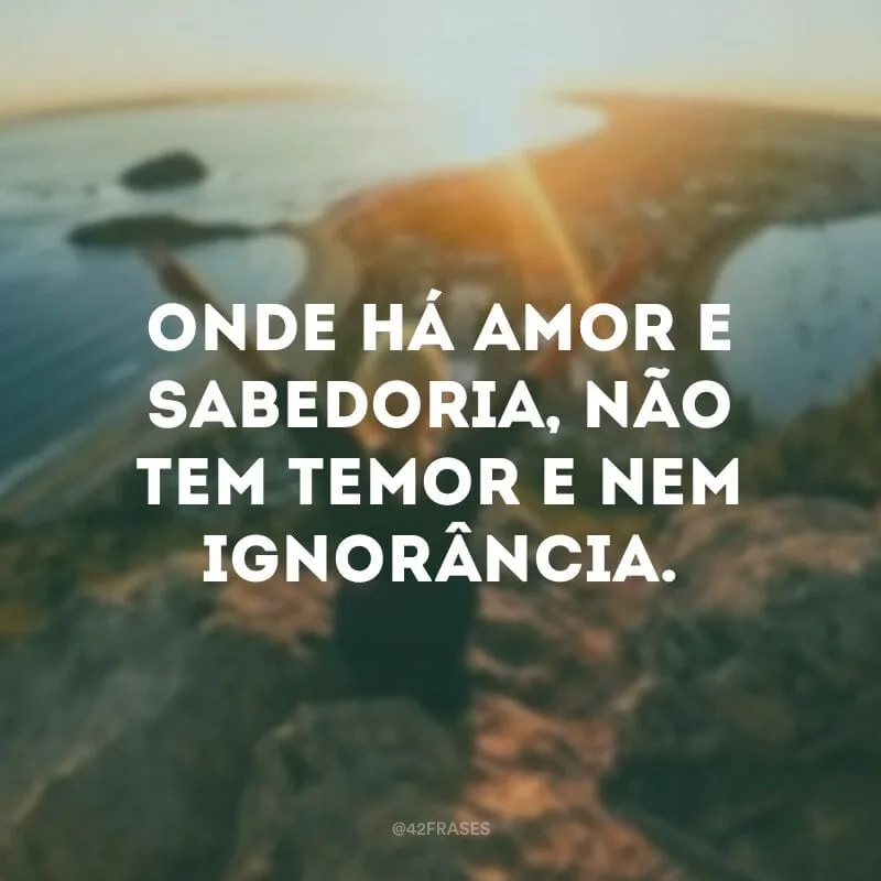 Onde há amor e sabedoria, não tem temor e nem ignorância. 