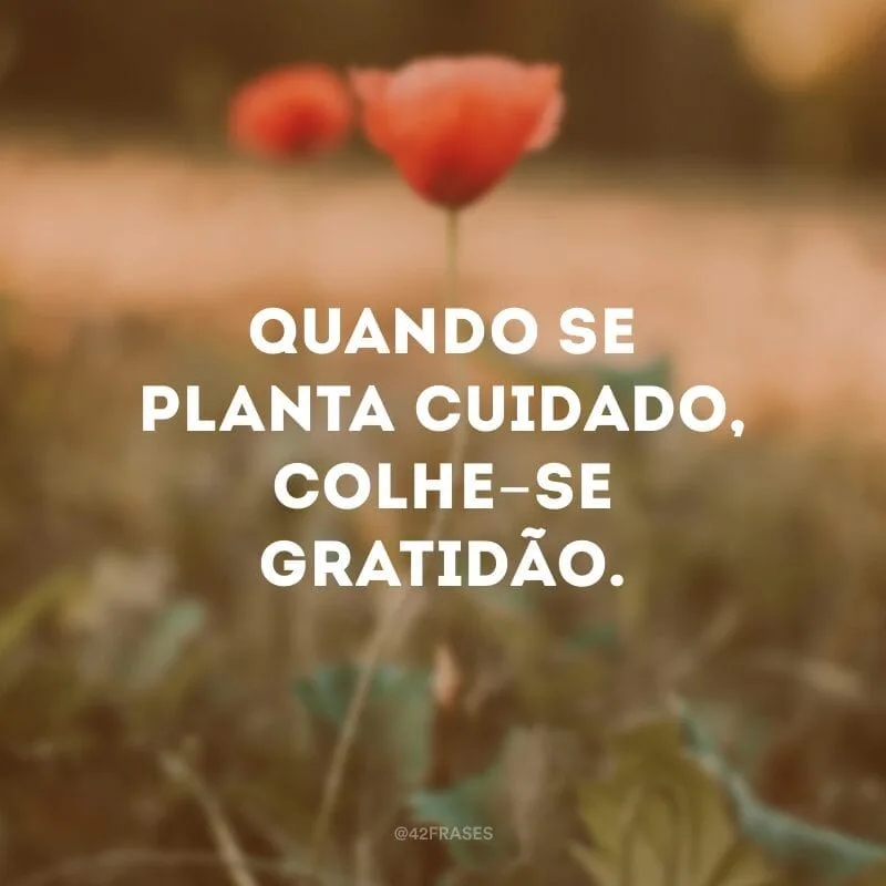 Quando se planta cuidado, colhe-se gratidão.
