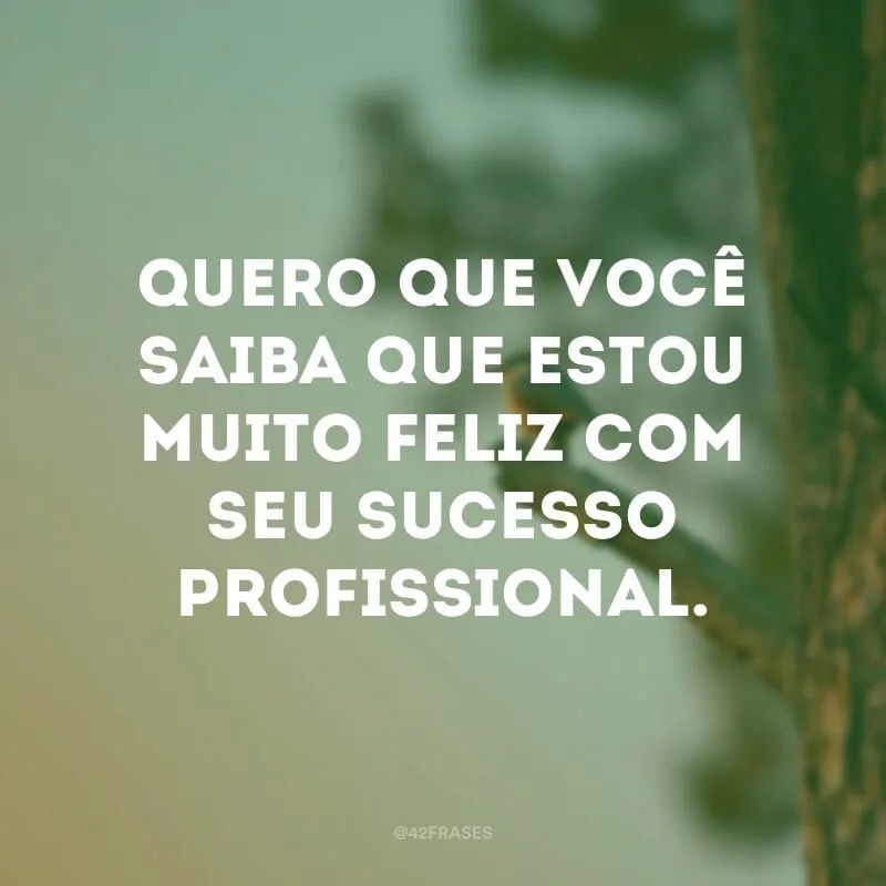 Quero que você saiba que estou muito feliz com seu sucesso profissional. Essa etapa que você alcançou representa o quanto se esforçou, o quanto lutou. Espero que sua realização pessoal ande a par com a profissional, porque você merece, porque você é uma guerreira!