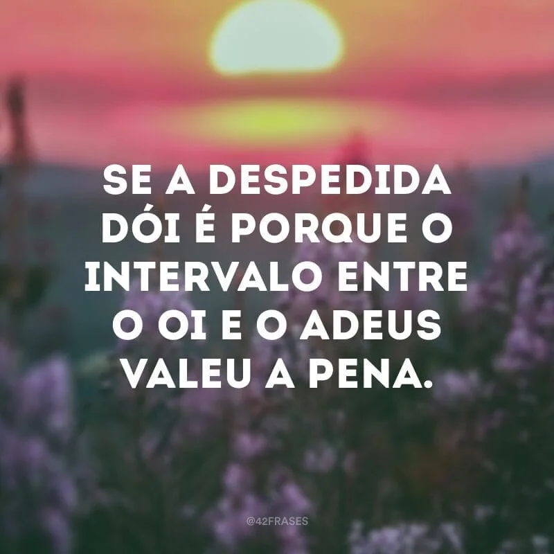 Se a despedida dói é porque o intervalo entre o oi e o adeus valeu a pena.