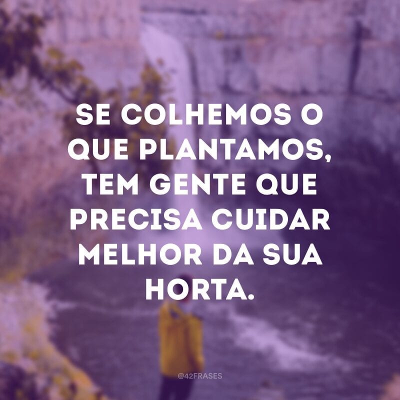 Se colhemos o que plantamos, tem gente que precisa cuidar melhor da sua horta.