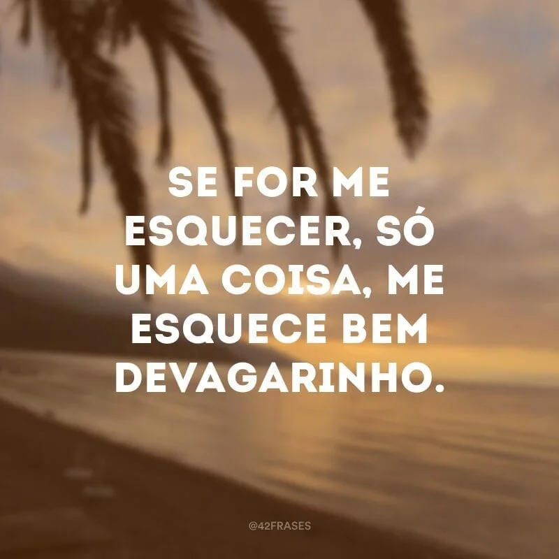 Se for me esquecer, só uma coisa, me esquece bem devagarinho. 