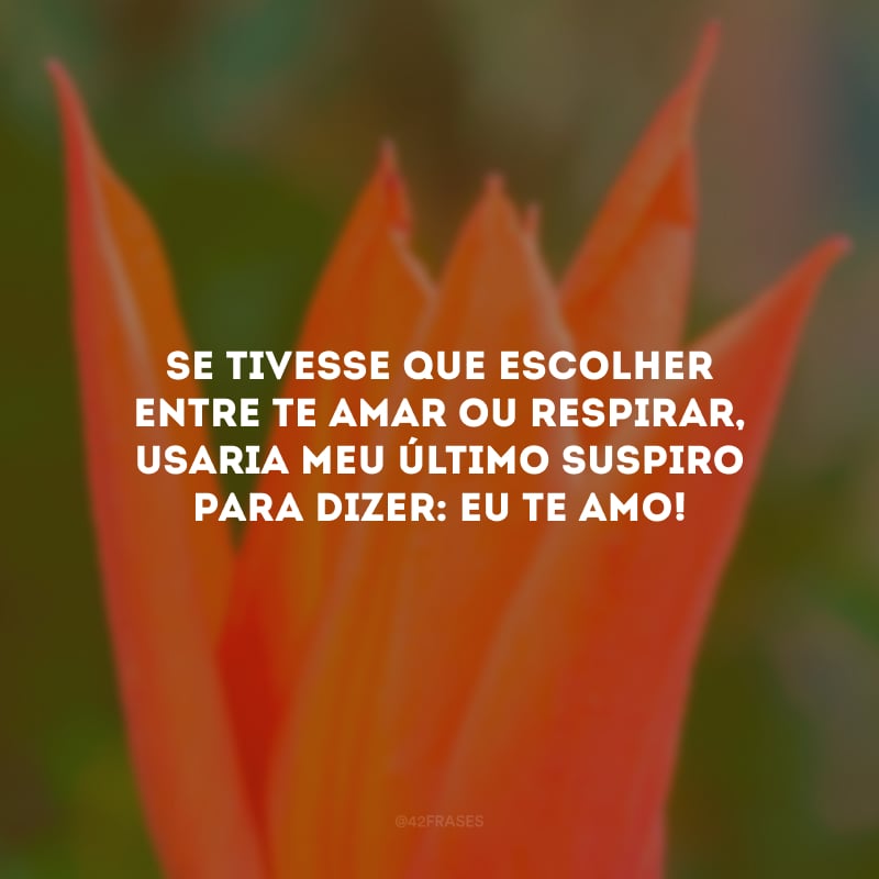 Se tivesse que escolher entre te amar ou respirar, usaria meu último suspiro para dizer: eu te amo!
