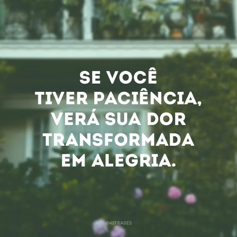 Se você tiver paciência, verá sua dor transformada em alegria.