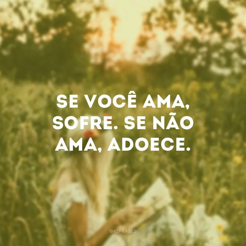 Se você ama, sofre. Se não ama, adoece.