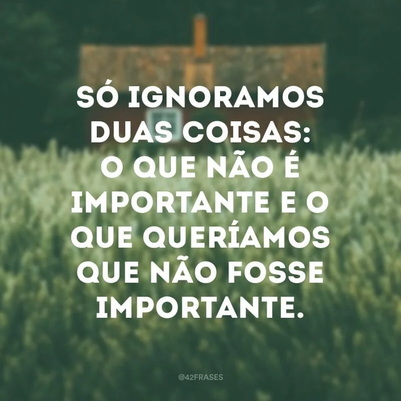 Só ignoramos duas coisas: o que não é importante e o que queríamos que não fosse importante.