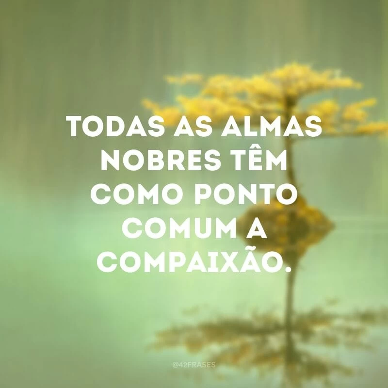 Todas as almas nobres têm como ponto comum a compaixão. 