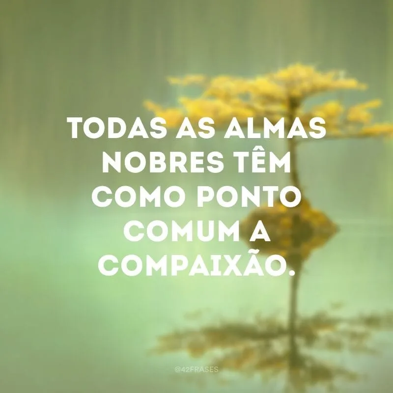 Todas as almas nobres têm como ponto comum a compaixão. 